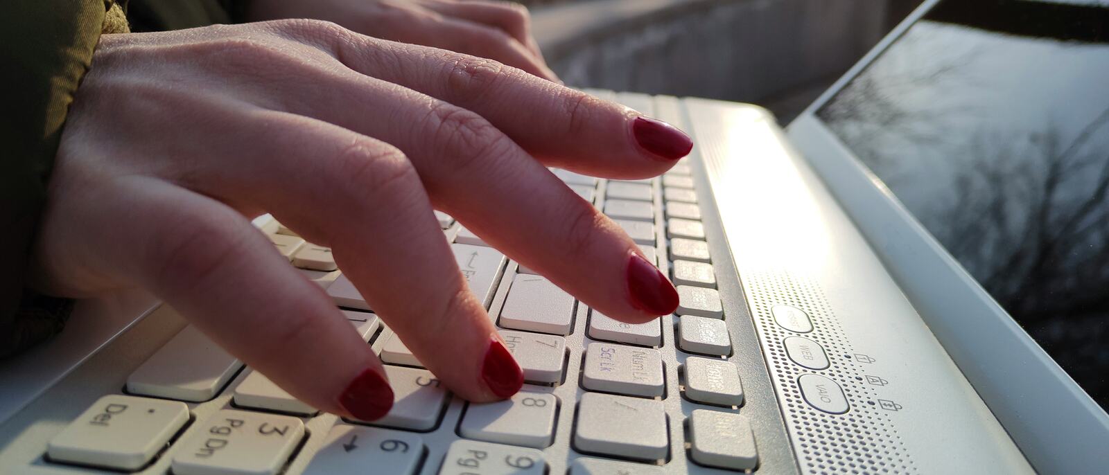 Close-up of hands typing on a laptop